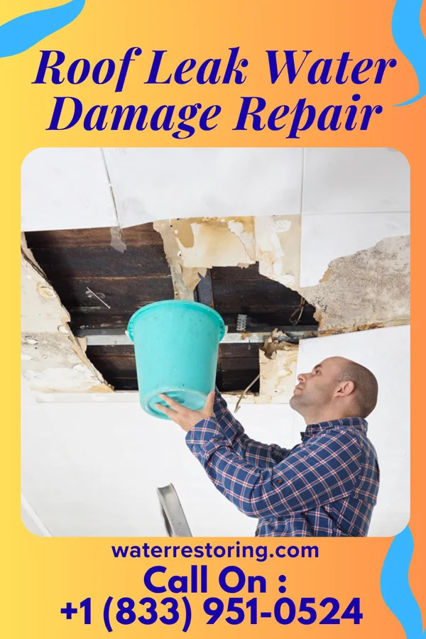 Roof Leak Water Damage Repair in Springdale, AR